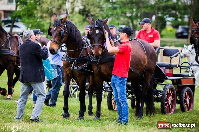 Zdjęcie w galerii na portalu naszraciborz.pl: Pierwszy dzień majówki w Kornicach za nami wiadomości z regionu