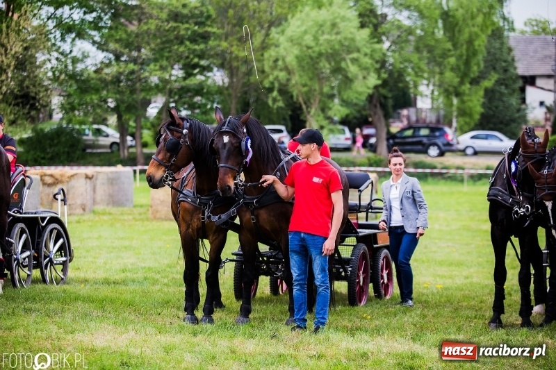 Zdjęcie w galerii na portalu naszraciborz.pl: Pierwszy dzień majówki w Kornicach za nami wiadomości z regionu