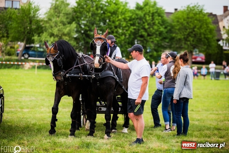 Zdjęcie w galerii na portalu naszraciborz.pl: Pierwszy dzień majówki w Kornicach za nami wiadomości z regionu