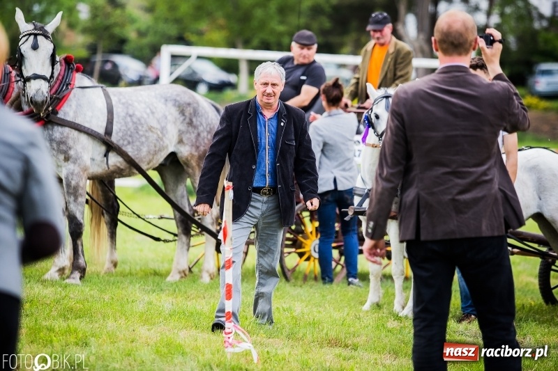Zdjęcie w galerii na portalu naszraciborz.pl: Pierwszy dzień majówki w Kornicach za nami wiadomości z regionu