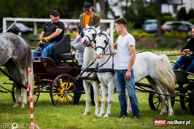 Zdjęcie w galerii na portalu naszraciborz.pl: Pierwszy dzień majówki w Kornicach za nami wiadomości z regionu