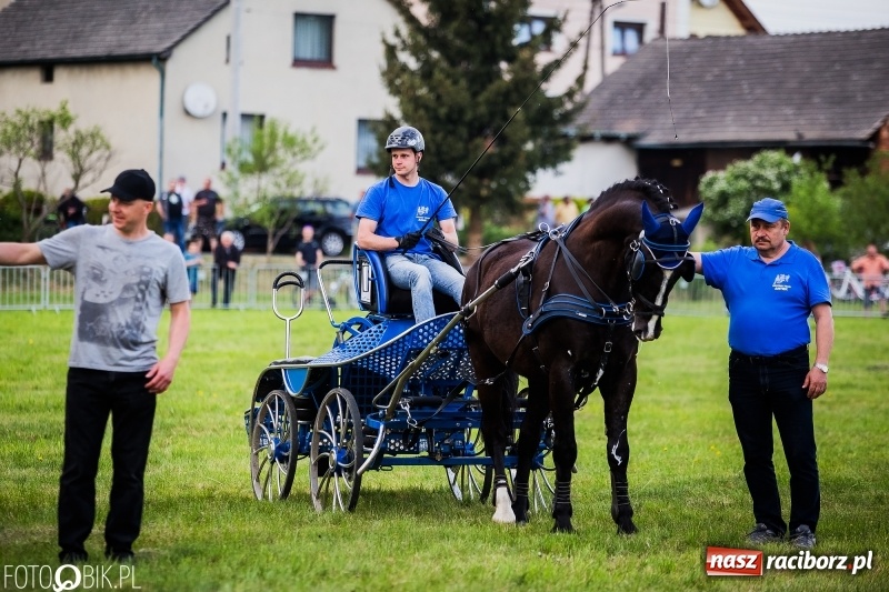 Zdjęcie w galerii na portalu naszraciborz.pl: Pierwszy dzień majówki w Kornicach za nami wiadomości z regionu