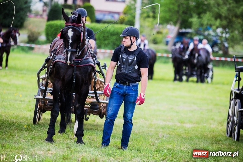 Zdjęcie w galerii na portalu naszraciborz.pl: Pierwszy dzień majówki w Kornicach za nami wiadomości z regionu