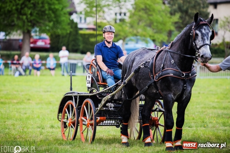 Zdjęcie w galerii na portalu naszraciborz.pl: Pierwszy dzień majówki w Kornicach za nami wiadomości z regionu