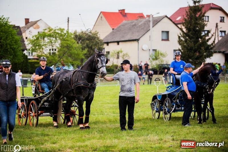 Zdjęcie w galerii na portalu naszraciborz.pl: Pierwszy dzień majówki w Kornicach za nami wiadomości z regionu
