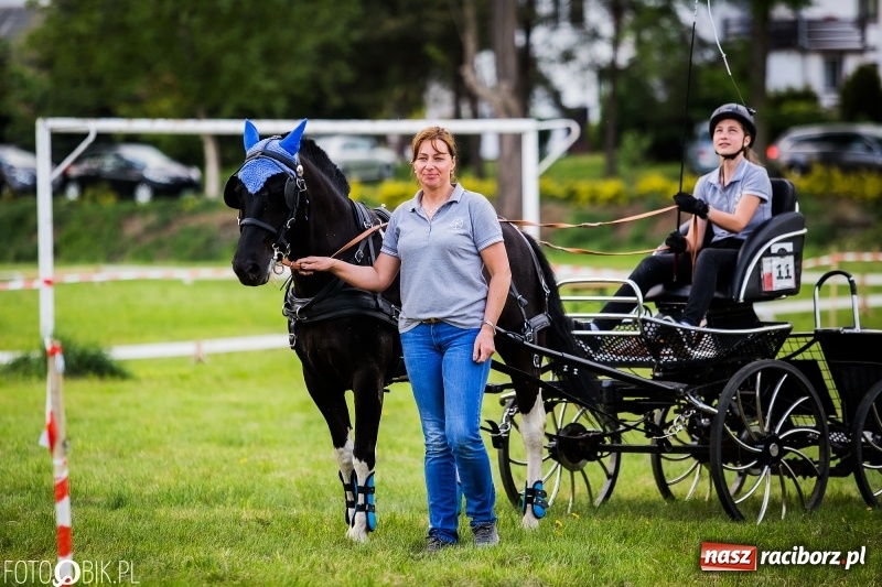Zdjęcie w galerii na portalu naszraciborz.pl: Pierwszy dzień majówki w Kornicach za nami wiadomości z regionu