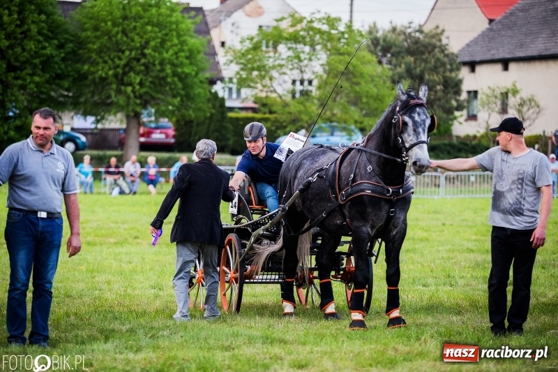 Zdjęcie w galerii na portalu naszraciborz.pl: Pierwszy dzień majówki w Kornicach za nami wiadomości z regionu