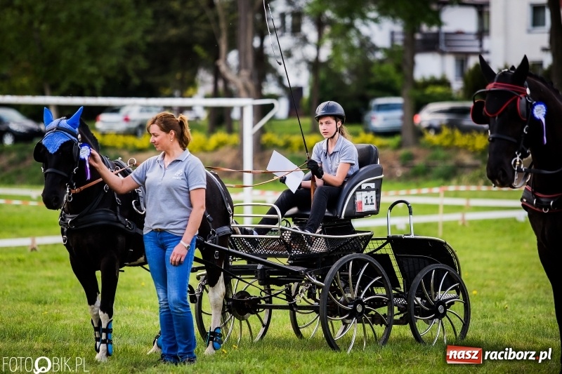 Zdjęcie w galerii na portalu naszraciborz.pl: Pierwszy dzień majówki w Kornicach za nami wiadomości z regionu