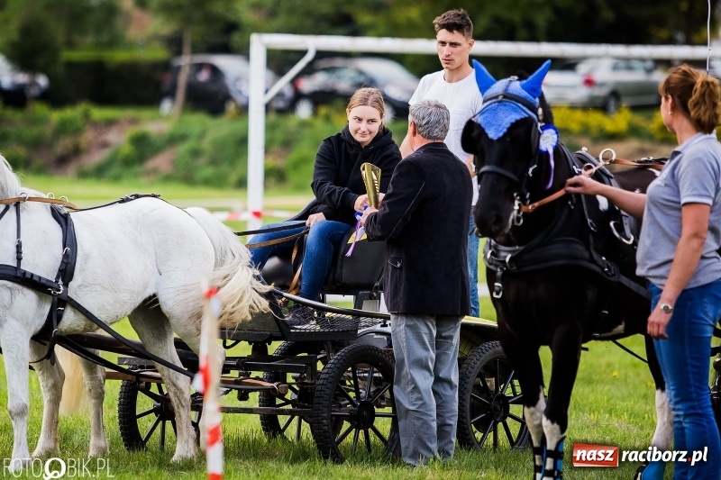 Zdjęcie w galerii na portalu naszraciborz.pl: Pierwszy dzień majówki w Kornicach za nami wiadomości z regionu