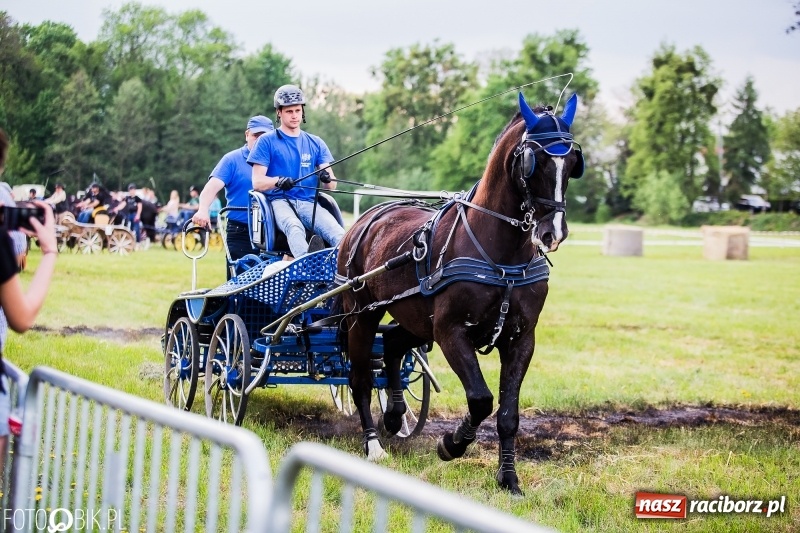 Zdjęcie w galerii na portalu naszraciborz.pl: Pierwszy dzień majówki w Kornicach za nami wiadomości z regionu