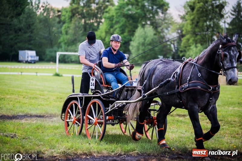 Zdjęcie w galerii na portalu naszraciborz.pl: Pierwszy dzień majówki w Kornicach za nami wiadomości z regionu