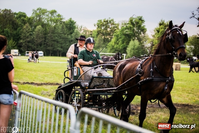 Zdjęcie w galerii na portalu naszraciborz.pl: Pierwszy dzień majówki w Kornicach za nami wiadomości z regionu