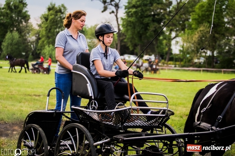 Zdjęcie w galerii na portalu naszraciborz.pl: Pierwszy dzień majówki w Kornicach za nami wiadomości z regionu