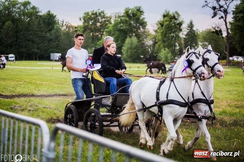 Zdjęcie w galerii na portalu naszraciborz.pl: Pierwszy dzień majówki w Kornicach za nami wiadomości z regionu