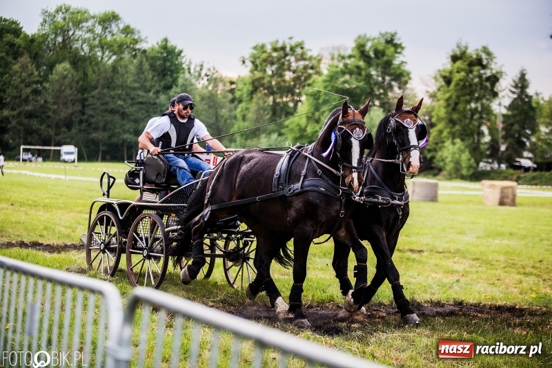 Zdjęcie w galerii na portalu naszraciborz.pl: Pierwszy dzień majówki w Kornicach za nami wiadomości z regionu