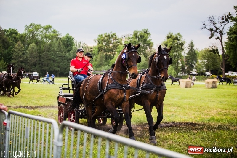 Zdjęcie w galerii na portalu naszraciborz.pl: Pierwszy dzień majówki w Kornicach za nami wiadomości z regionu