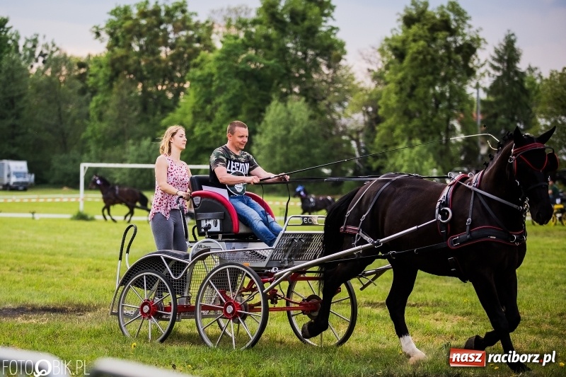 Zdjęcie w galerii na portalu naszraciborz.pl: Pierwszy dzień majówki w Kornicach za nami wiadomości z regionu