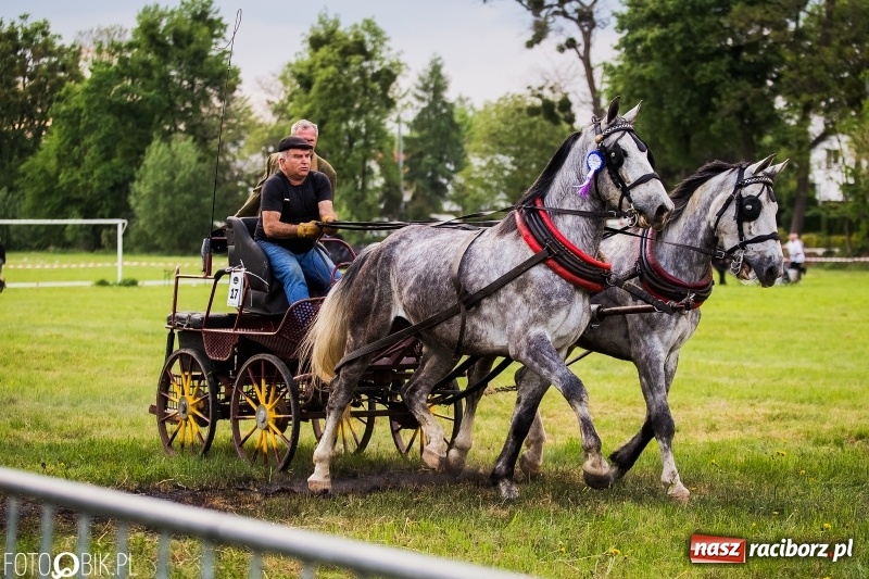 Zdjęcie w galerii na portalu naszraciborz.pl: Pierwszy dzień majówki w Kornicach za nami wiadomości z regionu