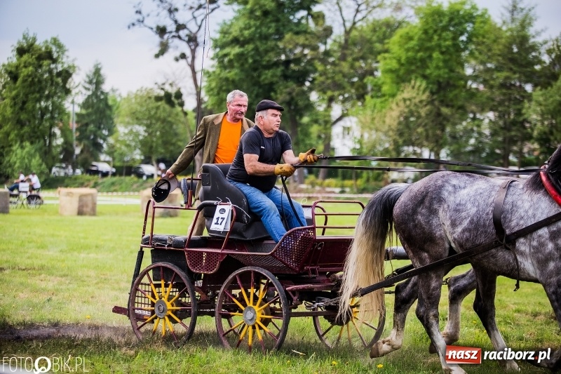 Zdjęcie w galerii na portalu naszraciborz.pl: Pierwszy dzień majówki w Kornicach za nami wiadomości z regionu