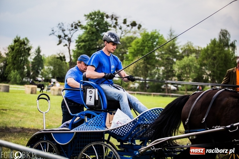 Zdjęcie w galerii na portalu naszraciborz.pl: Pierwszy dzień majówki w Kornicach za nami wiadomości z regionu