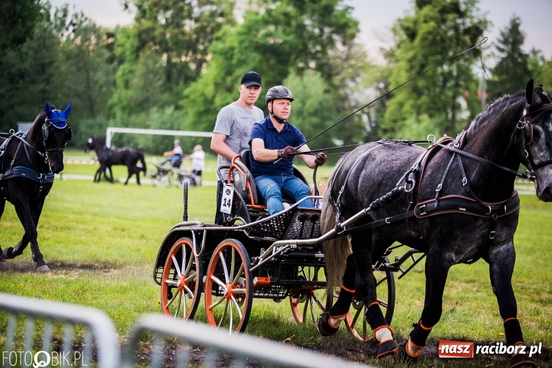 Zdjęcie w galerii na portalu naszraciborz.pl: Pierwszy dzień majówki w Kornicach za nami wiadomości z regionu