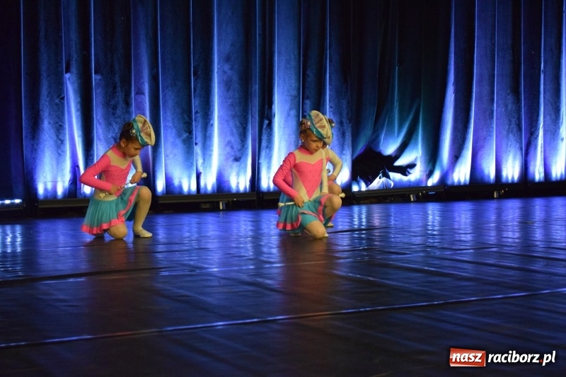 Zdjęcie w galerii na portalu naszraciborz.pl: I Ogólnopolski Festiwal Małych Form Tanecznych w Kuźni za nami wiadomości z regionu
