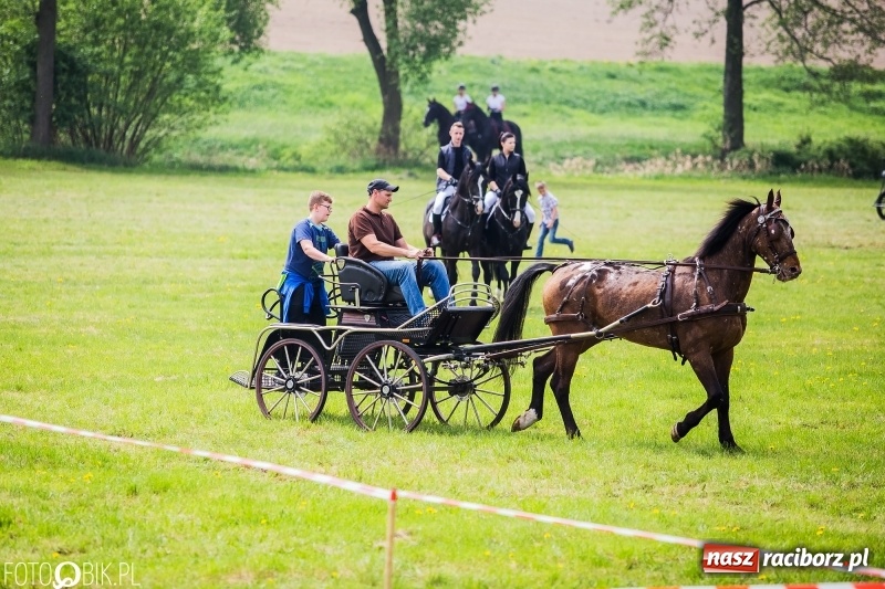 Zdjęcie w galerii na portalu naszraciborz.pl: Konny korowód podczas drugiego dnia majówki w Kornicach wiadomości z regionu