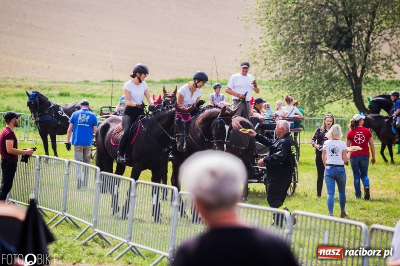 Zdjęcie w galerii na portalu naszraciborz.pl: Konny korowód podczas drugiego dnia majówki w Kornicach wiadomości z regionu
