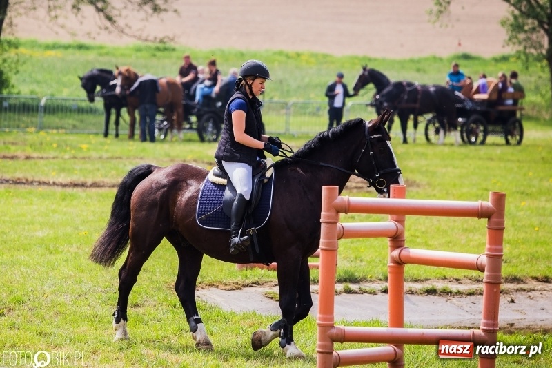 Zdjęcie w galerii na portalu naszraciborz.pl: Konny korowód podczas drugiego dnia majówki w Kornicach wiadomości z regionu