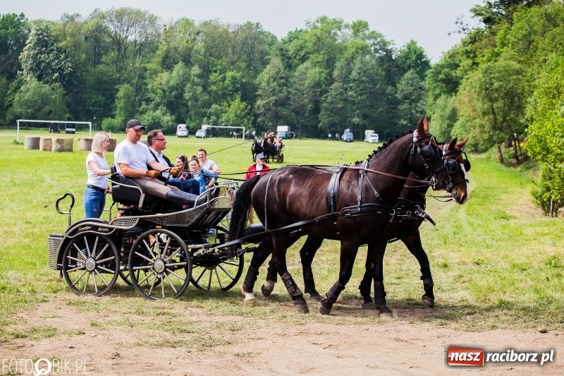 Zdjęcie w galerii na portalu naszraciborz.pl: Konny korowód podczas drugiego dnia majówki w Kornicach wiadomości z regionu