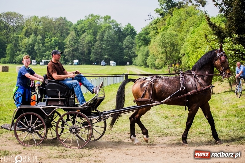 Zdjęcie w galerii na portalu naszraciborz.pl: Konny korowód podczas drugiego dnia majówki w Kornicach wiadomości z regionu