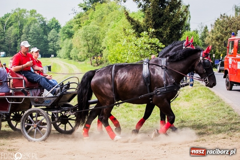 Zdjęcie w galerii na portalu naszraciborz.pl: Konny korowód podczas drugiego dnia majówki w Kornicach wiadomości z regionu