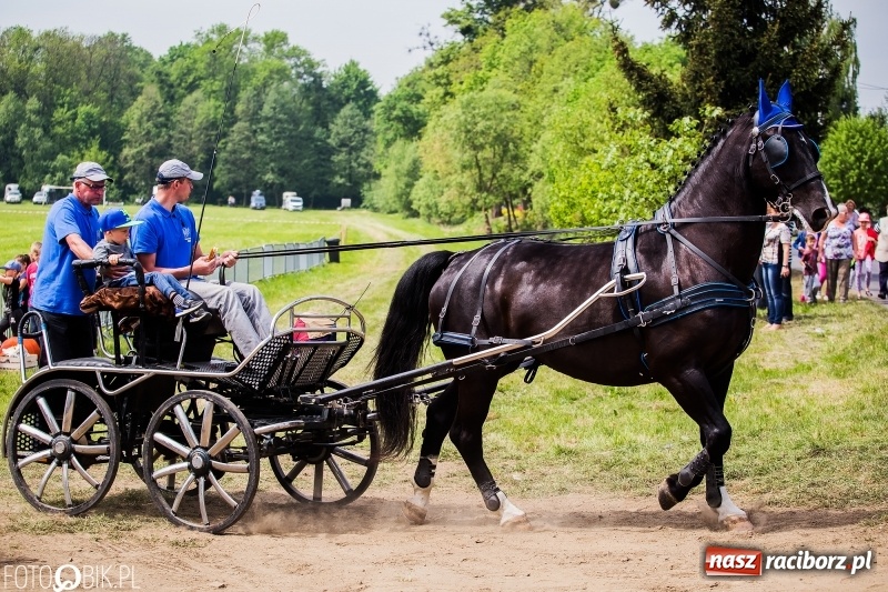 Zdjęcie w galerii na portalu naszraciborz.pl: Konny korowód podczas drugiego dnia majówki w Kornicach wiadomości z regionu
