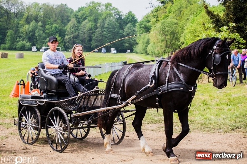 Zdjęcie w galerii na portalu naszraciborz.pl: Konny korowód podczas drugiego dnia majówki w Kornicach wiadomości z regionu