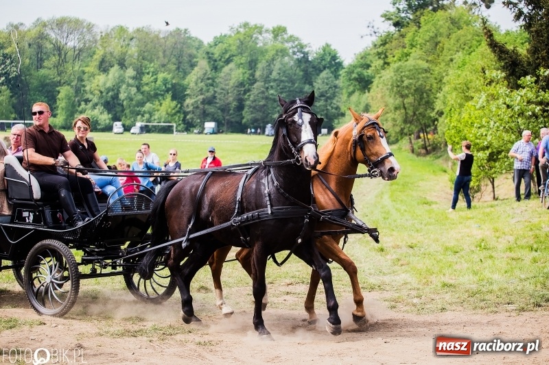 Zdjęcie w galerii na portalu naszraciborz.pl: Konny korowód podczas drugiego dnia majówki w Kornicach wiadomości z regionu