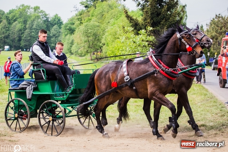 Zdjęcie w galerii na portalu naszraciborz.pl: Konny korowód podczas drugiego dnia majówki w Kornicach wiadomości z regionu