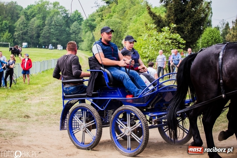 Zdjęcie w galerii na portalu naszraciborz.pl: Konny korowód podczas drugiego dnia majówki w Kornicach wiadomości z regionu