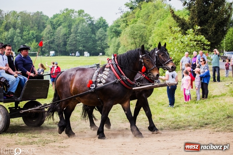 Zdjęcie w galerii na portalu naszraciborz.pl: Konny korowód podczas drugiego dnia majówki w Kornicach wiadomości z regionu
