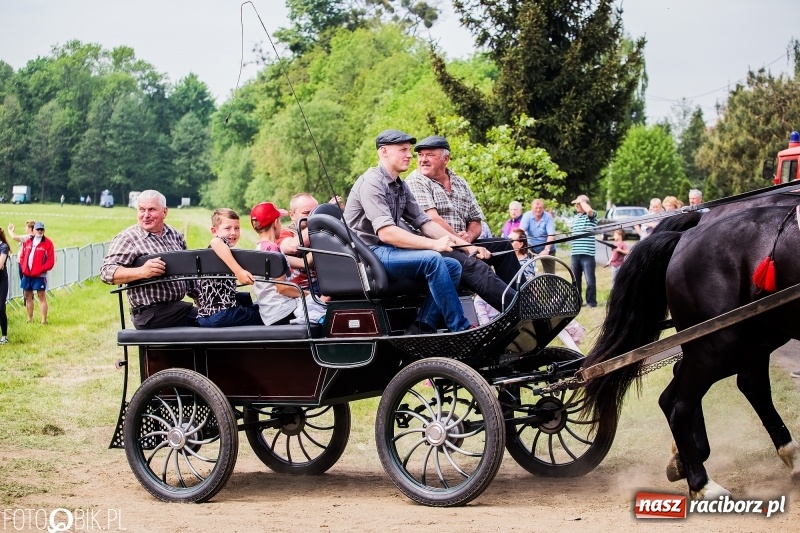 Zdjęcie w galerii na portalu naszraciborz.pl: Konny korowód podczas drugiego dnia majówki w Kornicach wiadomości z regionu