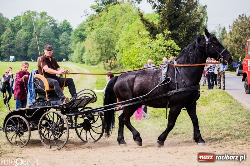 Zdjęcie w galerii na portalu naszraciborz.pl: Konny korowód podczas drugiego dnia majówki w Kornicach wiadomości z regionu