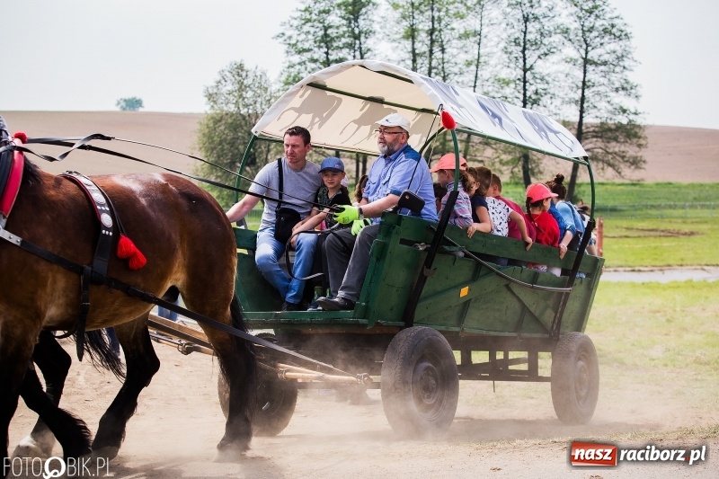 Zdjęcie w galerii na portalu naszraciborz.pl: Konny korowód podczas drugiego dnia majówki w Kornicach wiadomości z regionu
