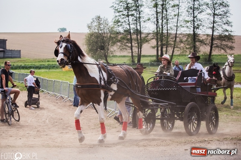 Zdjęcie w galerii na portalu naszraciborz.pl: Konny korowód podczas drugiego dnia majówki w Kornicach wiadomości z regionu