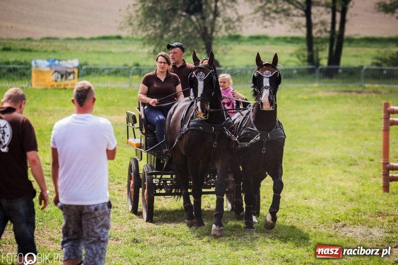 Zdjęcie w galerii na portalu naszraciborz.pl: Konny korowód podczas drugiego dnia majówki w Kornicach wiadomości z regionu