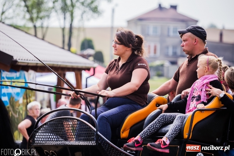 Zdjęcie w galerii na portalu naszraciborz.pl: Konny korowód podczas drugiego dnia majówki w Kornicach wiadomości z regionu