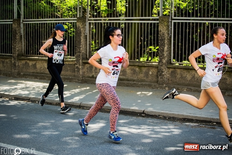 Zdjęcie w galerii na portalu naszraciborz.pl: XI Raciborski Bieg Bez Granic - nordic walking i biegi na 3,7 km wiadomości z regionu