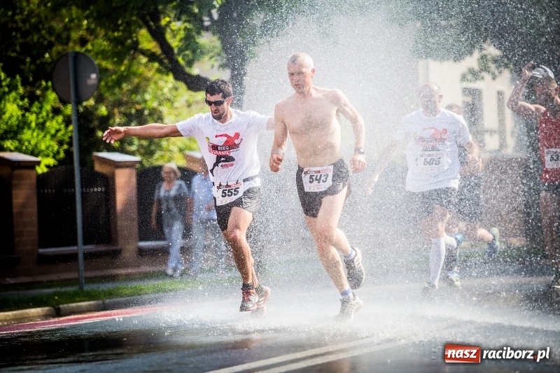 Zdjęcie w galerii na portalu naszraciborz.pl: Raciborski Bieg Bez Granic - dystans 10 kilometrów FOTOREPORTAŻ wiadomości z regionu