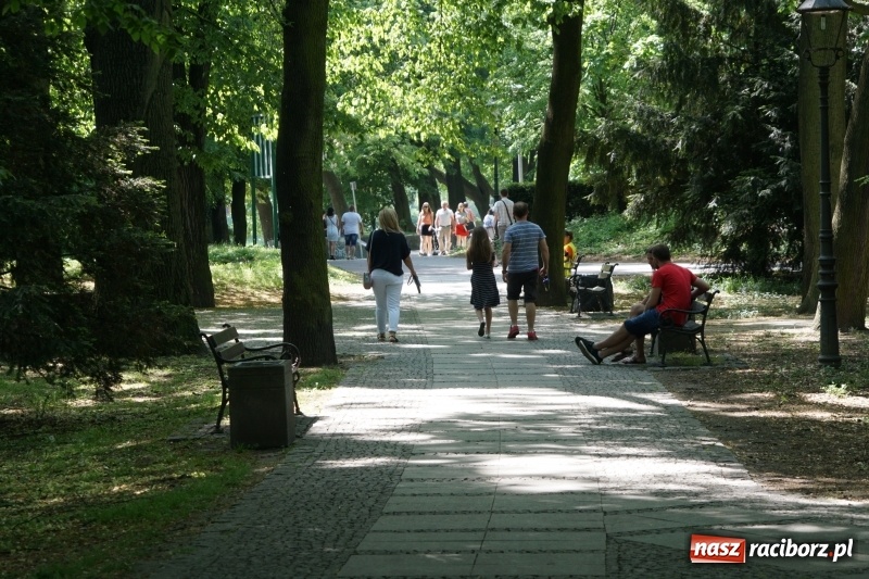 Zdjęcie w galerii na portalu naszraciborz.pl: Polska Majówka na raciborskich bulwarach  wiadomości z regionu