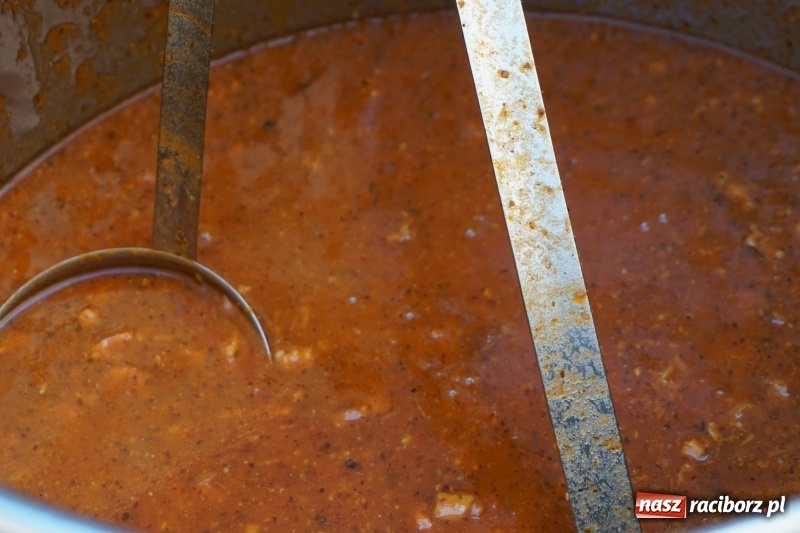 Zdjęcie w galerii na portalu naszraciborz.pl: Polska Majówka na raciborskich bulwarach  wiadomości z regionu