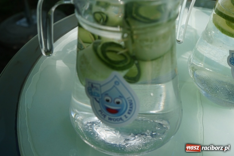 Zdjęcie w galerii na portalu naszraciborz.pl: Polska Majówka na raciborskich bulwarach  wiadomości z regionu