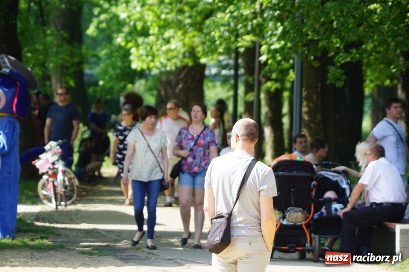 Zdjęcie w galerii na portalu naszraciborz.pl: Polska Majówka na raciborskich bulwarach  wiadomości z regionu
